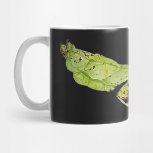 Leaf Bug Mug